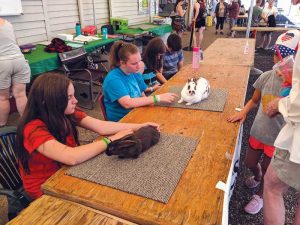 FILE PHOTO - The Clackamas County Fair had plenty of 4-H activity this year.