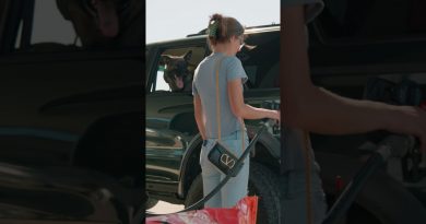 Touching the Valentino has consequences. #protectiondog  #germanshepherd #dogtraining