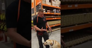Best place to socialize your dog and proof off of distractions