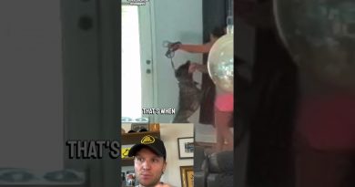 Dog ATTACKS wife protecting food! (Dog Trainer reaction)