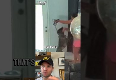 Dog ATTACKS wife protecting food! (Dog Trainer reaction)