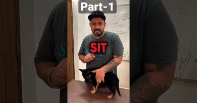 How to teach your puppy the sit command? #shorts #rottweiler  #dogtraining  #namitaology