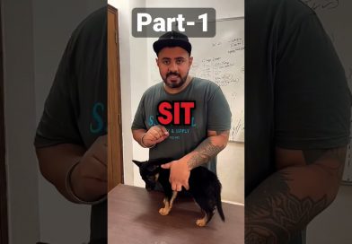 How to teach your puppy the sit command? #shorts #rottweiler #dogtraining #namitaology How to teach your puppy the sit command? #shorts #rottweiler #dogtraining #namitaology
