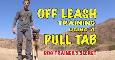 OFF LEASH Training Using a Pull Tab – Robert Cabral Dog Training Video