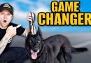 How To Use A Slip Leash To Train Your Dog!