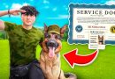 I sent MY DOG to MILITARY SCHOOL