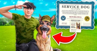 I sent MY DOG to MILITARY SCHOOL